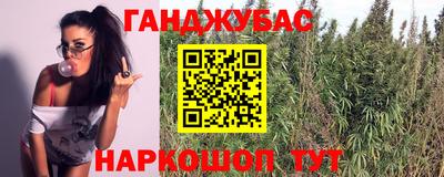 гидра Усть-Илимск